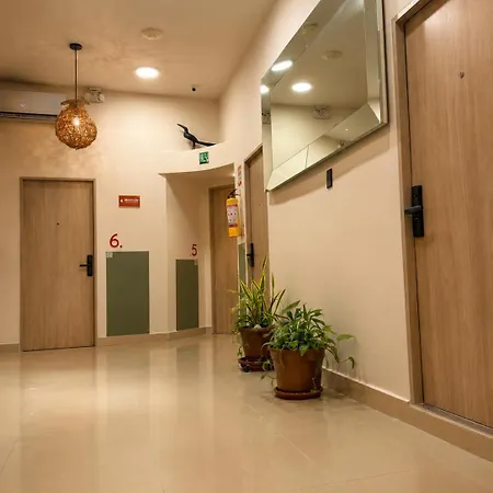 Hotel Ethnic Thematic